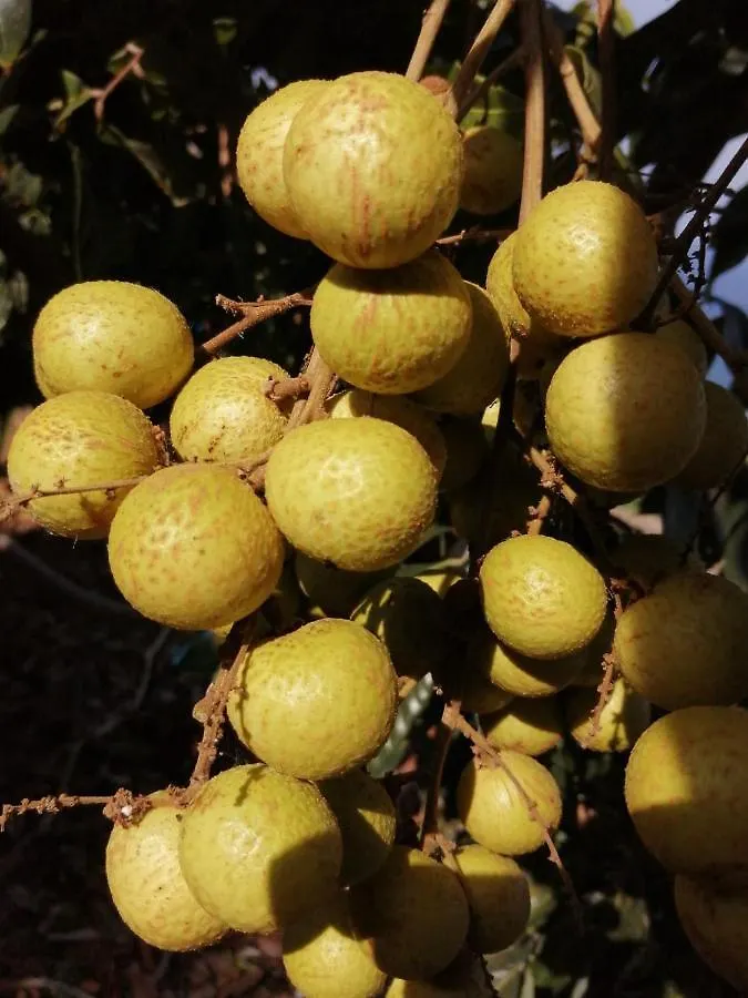לה אורוטבה Vista Valle לה אורוטבה