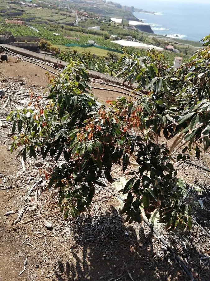 לה אורוטבה Vista Valle 0*, לה אורוטבה